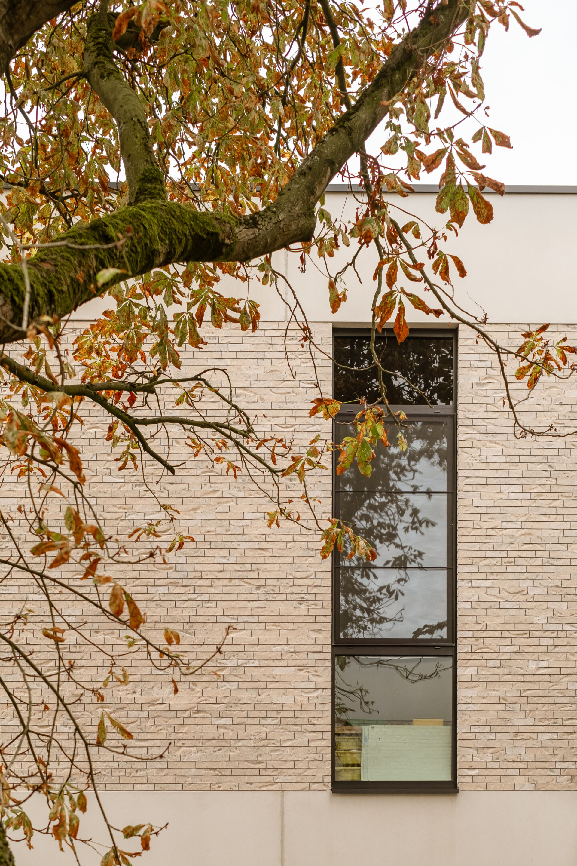 AAT Heidehuizen c Lumine 26